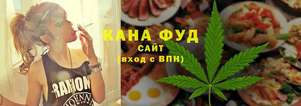 индика Дмитриев