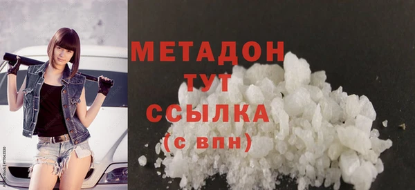 индика Дмитриев