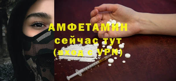 индика Дмитриев