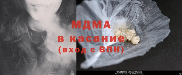 индика Дмитриев