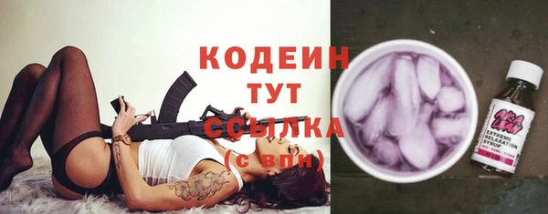 индика Дмитриев