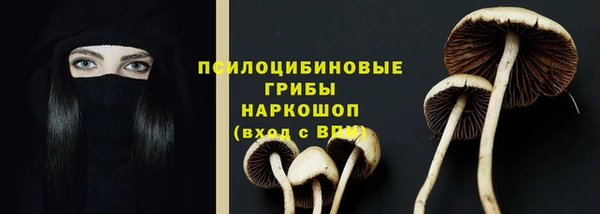 прущие крисы Дмитровск