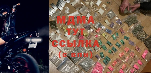 индика Дмитриев