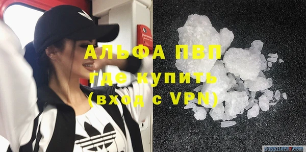 индика Дмитриев