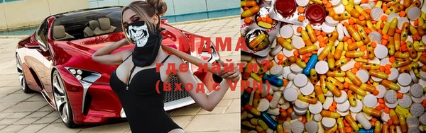 ГАЛЛЮЦИНОГЕННЫЕ ГРИБЫ Гусев