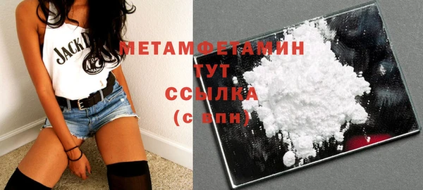 индика Дмитриев