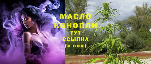 индика Дмитриев
