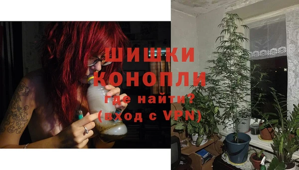индика Дмитриев