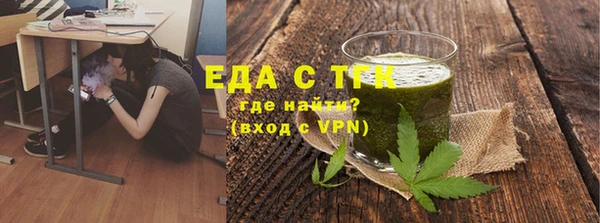 индика Дмитриев