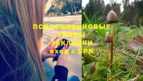 альфа пвп Дмитров