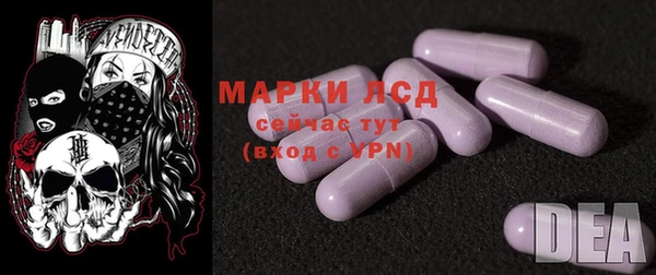 индика Дмитриев