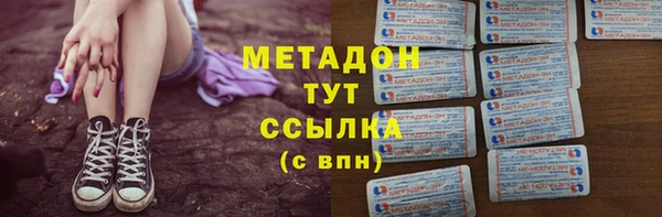 индика Дмитриев