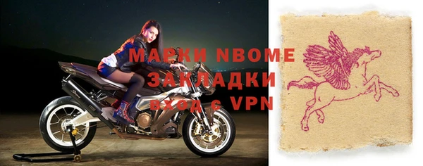 индика Дмитриев