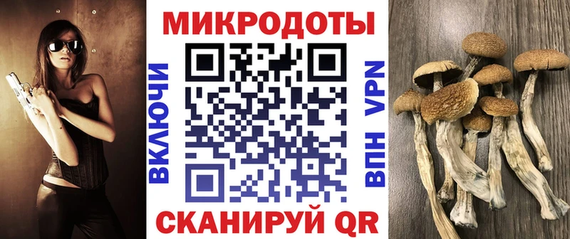 Псилоцибиновые грибы Magic Shrooms  Купить  Узловая 